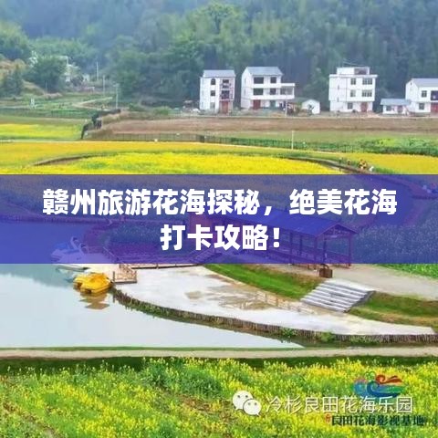 赣州旅游花海探秘，绝美花海打卡攻略！