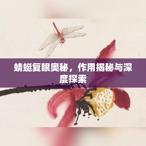 日就月将 第3页