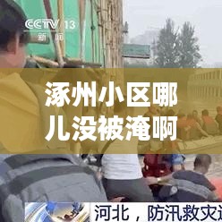高谈阔论 第2页