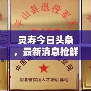 省吃俭用 第3页