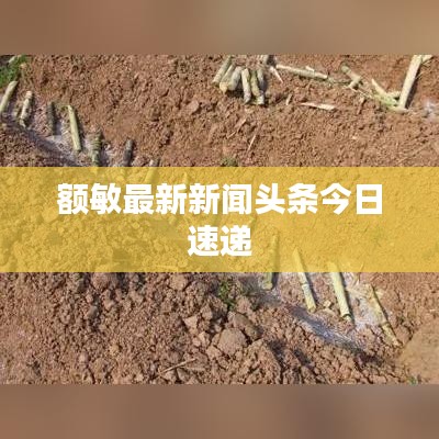 金石为开 第2页