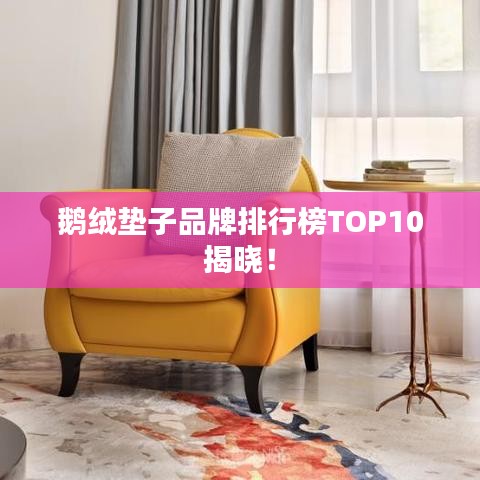 鹅绒垫子品牌排行榜TOP10揭晓！