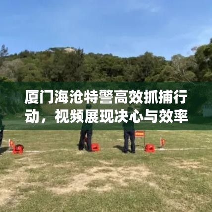 厦门海沧特警高效抓捕行动，视频展现决心与效率，正义不迟！