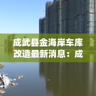 成武县金海岸车库改造最新消息：成武金海岸租房子 