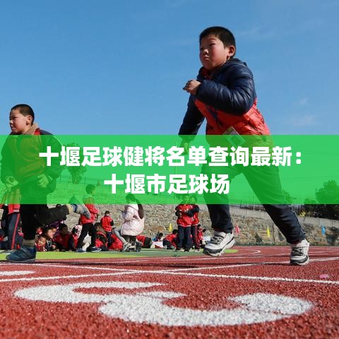 十堰足球健将名单查询最新：十堰市足球场 