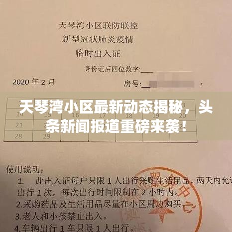 天琴湾小区最新动态揭秘，头条新闻报道重磅来袭！