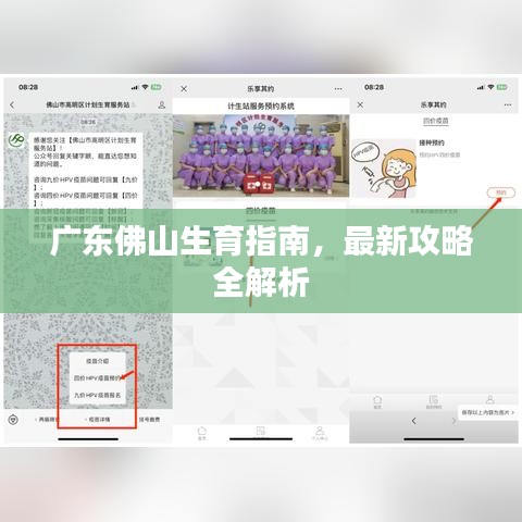广东佛山生育指南，最新攻略全解析