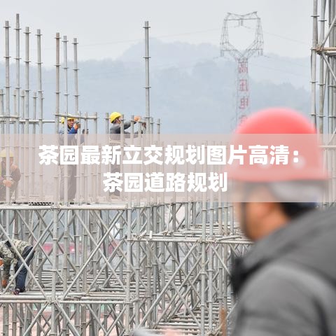 茶园最新立交规划图片高清：茶园道路规划 