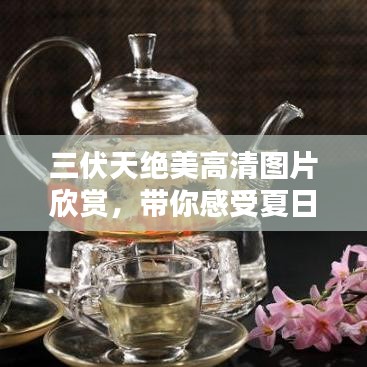 三伏天绝美高清图片欣赏，带你感受夏日炎炎的魅力