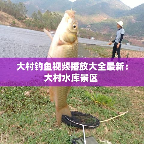 大村钓鱼视频播放大全最新：大村水库景区 