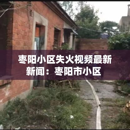 眼空四海 第2页