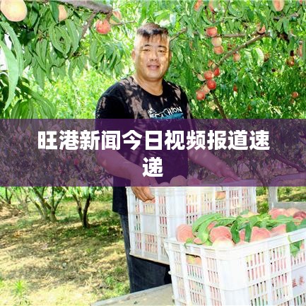 旺港新闻今日视频报道速递