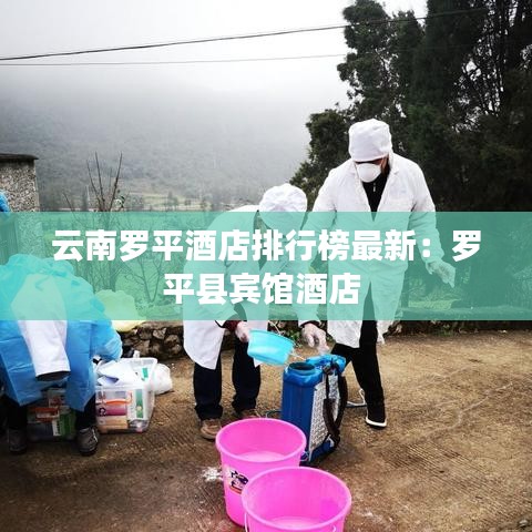 云南罗平酒店排行榜最新：罗平县宾馆酒店 
