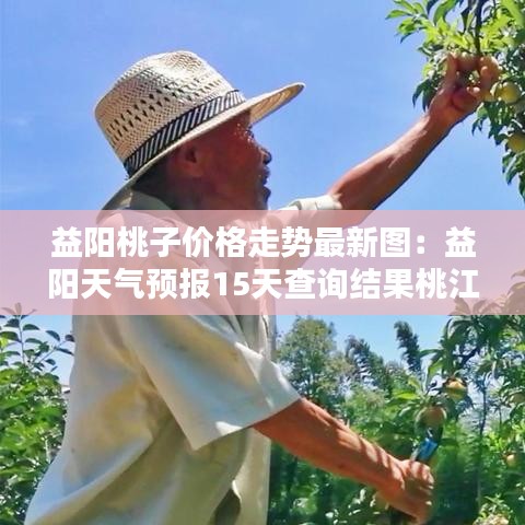 益阳桃子价格走势最新图：益阳天气预报15天查询结果桃江天气 