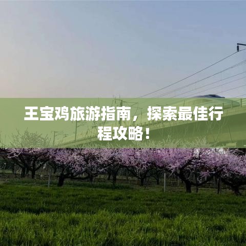 王宝鸡旅游指南，探索最佳行程攻略！