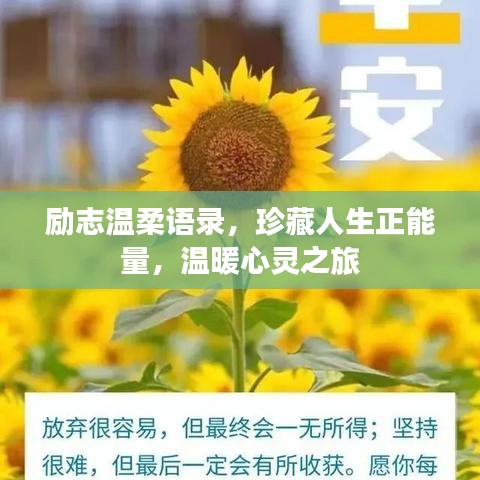 陈力就列 第2页