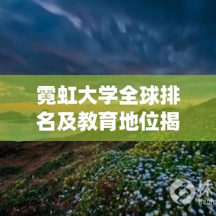 霓虹大学全球排名及教育地位揭秘