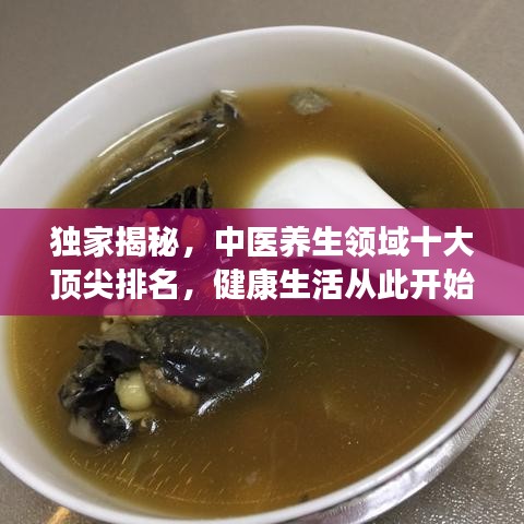 独家揭秘，中医养生领域十大顶尖排名，健康生活从此开始！