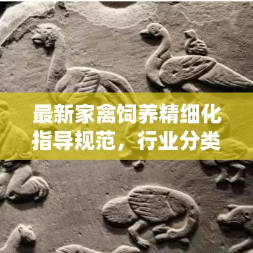 最新家禽饲养精细化指导规范，行业分类下的养殖新标准