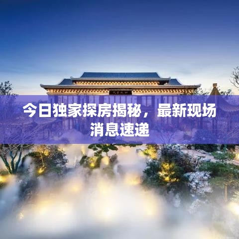 今日独家探房揭秘，最新现场消息速递