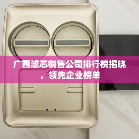 广西滤芯销售公司排行榜揭晓，领先企业榜单