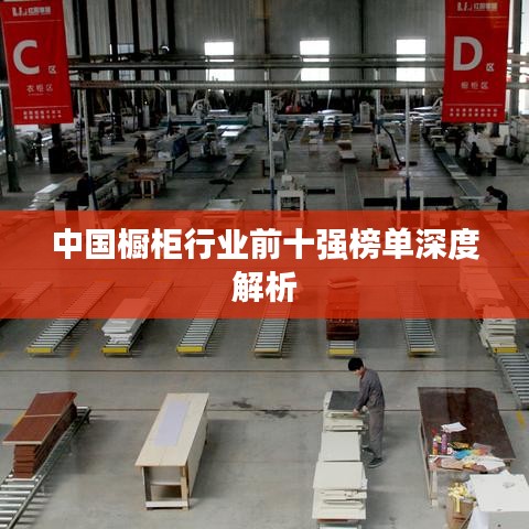 中国橱柜行业前十强榜单深度解析