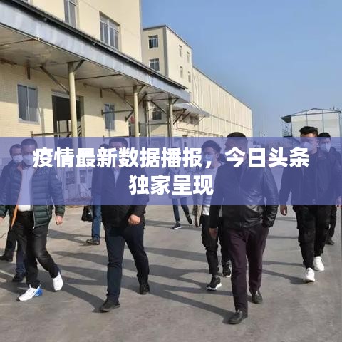 疫情最新数据播报，今日头条独家呈现
