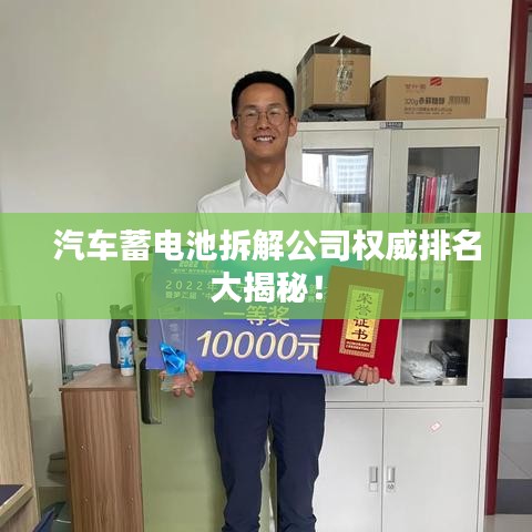 汽车蓄电池拆解公司权威排名大揭秘！