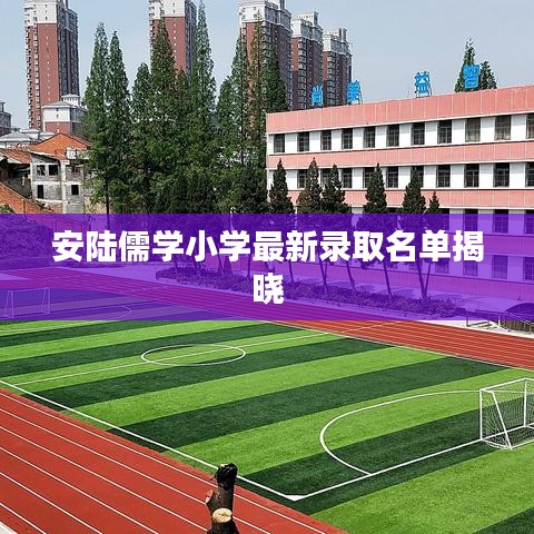 安陆儒学小学最新录取名单揭晓