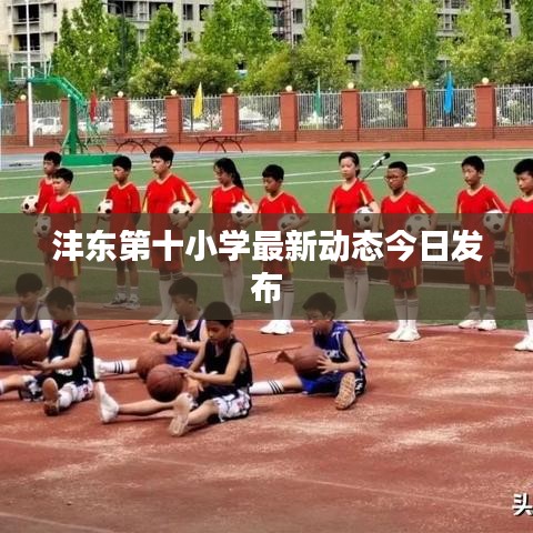 沣东第十小学最新动态今日发布