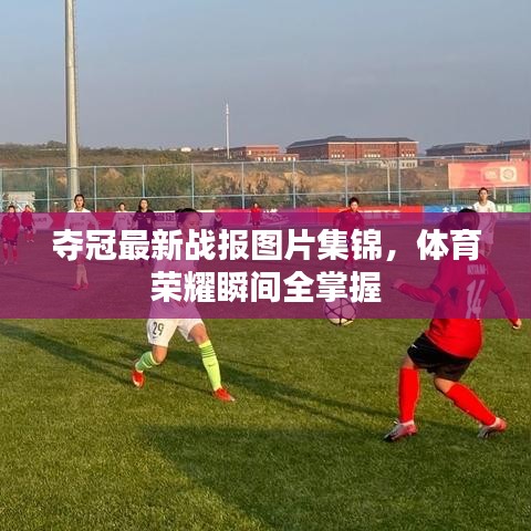 难能可贵 第2页