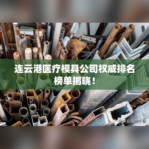 连云港医疗模具公司权威排名榜单揭晓！