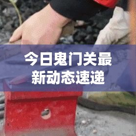 今日鬼门关最新动态速递