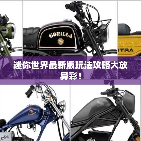 迷你世界最新版玩法攻略大放异彩！