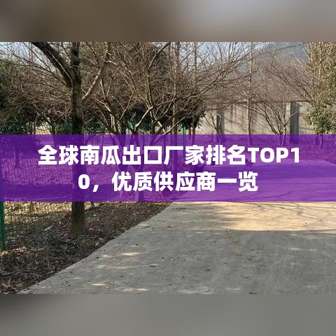 全球南瓜出口厂家排名TOP10，优质供应商一览