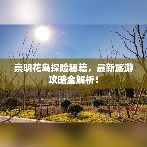 崇明花岛探险秘籍，最新旅游攻略全解析！