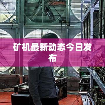 矿机最新动态今日发布
