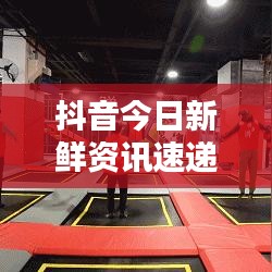 抖音今日新鲜资讯速递