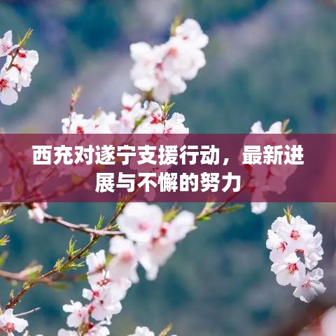 西充对遂宁支援行动，最新进展与不懈的努力