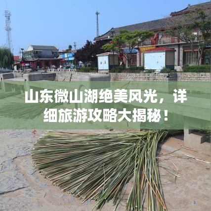 山东微山湖绝美风光，详细旅游攻略大揭秘！