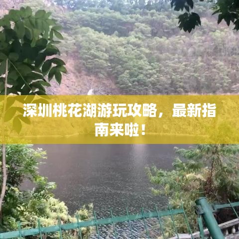 令行禁止 第2页
