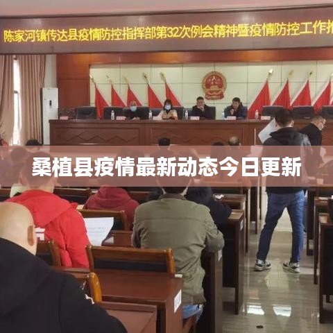 桑植县疫情最新动态今日更新