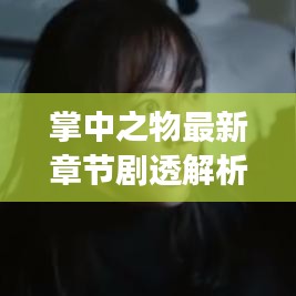 掌中之物最新章节剧透解析与在线阅读指南