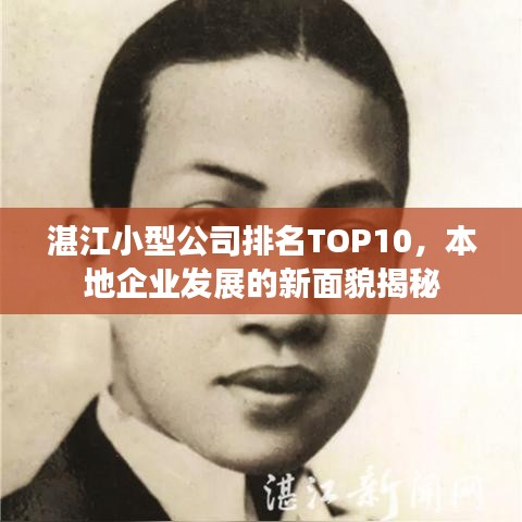 湛江小型公司排名TOP10，本地企业发展的新面貌揭秘