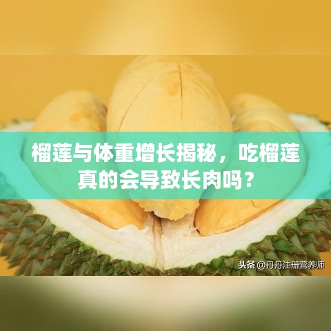 榴莲与体重增长揭秘，吃榴莲真的会导致长肉吗？