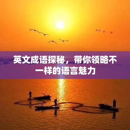 英文成语探秘，带你领略不一样的语言魅力