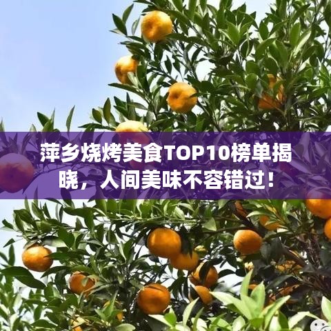 萍乡烧烤美食TOP10榜单揭晓，人间美味不容错过！