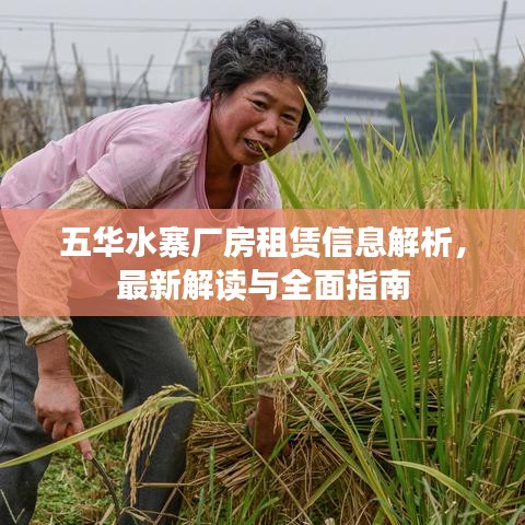 五华水寨厂房租赁信息解析，最新解读与全面指南