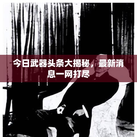 今日武器头条大揭秘，最新消息一网打尽