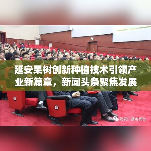 延安果树创新种植技术引领产业新篇章，新闻头条聚焦发展动态